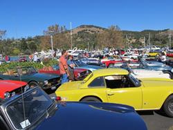 Click to view album: 2013-10 Triumphest / VTR, San Rafael CA